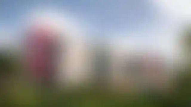 13 детских садов