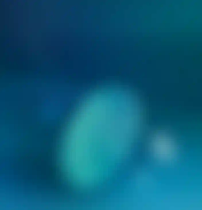 Беспроцентная рассрочка